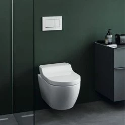 Geberit Sigma30 Dual Flush Plate - White/Gloss Chrome/White - 115.883.KJ.1 -TOILET ACCESSORIES shop 115.883.KJ .1 460