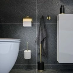 Tiger Tune Spare Toilet Roll Holder - Brushed Brass/Black -TOILET ACCESSORIES shop 1325435646 D2 460
