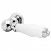 Traditional Ceramic Cistern Lever Handle - 345617 -TOILET ACCESSORIES shop 345617 p