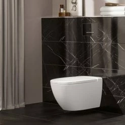 Villeroy and Boch ViConnect Glass Glossy Black Dual Flush Plate - 922160RB -TOILET ACCESSORIES shop 922160RB D2 460