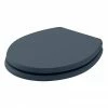 Bayswater Stiffkey Blue Fitzroy Soft Close Toilet Seat