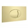 Cruze Large Push Button Plate Brushed Brass -TOILET ACCESSORIES shop CBBPB01 prod