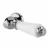 Hudson Reed White Ceramic Cistern Lever - E370 -TOILET ACCESSORIES shop E370 P