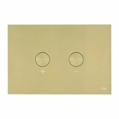 JTP Brushed Brass Steel Pneumatic Flush Plate