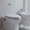 Burlington Front + Top Access Dual Flush Cistern with Ceramic Lever -TOILET ACCESSORIES shop FTL P