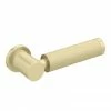Arezzo Industrial Style Brushed Brass Knurled Grip Cistern Lever -TOILET ACCESSORIES shop ISBBCL p