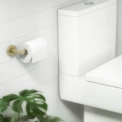 Arezzo Industrial Style Brushed Brass Toilet Roll Holder 13 Arezzo Industrial Style Brushed Brass Toilet Roll Holder -TOILET ACCESSORIES shop ISBBRH d5 460