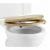 Burlington Soft Close Golden Oak Toilet Seat - S16 -TOILET ACCESSORIES shop S16 P