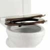 Burlington Soft Close Mahogany Toilet Seat with Lift Handles 1 Burlington Soft Close Mahogany Toilet Seat with Lift Handles -TOILET ACCESSORIES shop S17 A51CHR P