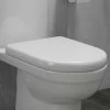 D-Shaped Rapid Fix Soft Close Toilet Seat -TOILET ACCESSORIES shop SEA007 p