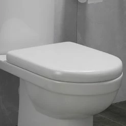 D-Shaped Rapid Fix Soft Close Toilet Seat