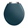 Imperial Oval Soft Close Toilet Seat with Chrome Hinges - Moseley Blue -TOILET ACCESSORIES shop XX50008114NSB P